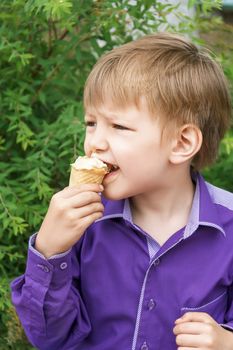 Vertical photo of blond boy are eating icecream in summer 