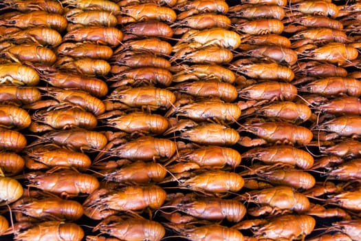 Photo of background with red boiled crawfishes