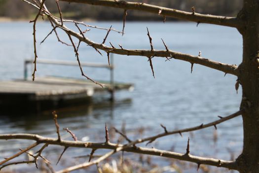 Bush and old ruined platform on the calm lake.