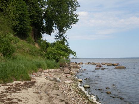 Rocks and sand and green trees on the beach.