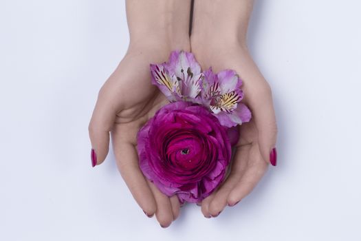 Hands of a woman with pink manicure on nails holding flowers