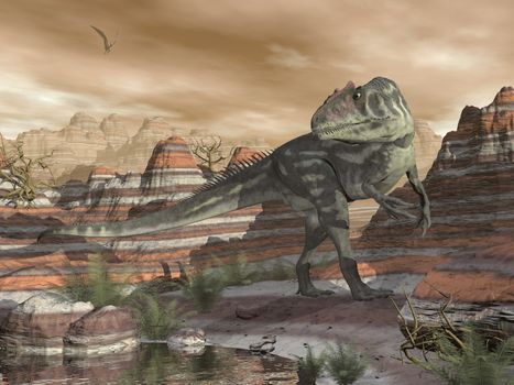 Allosaurus dinosaur walking in the desert canyon by sunset - 3D render