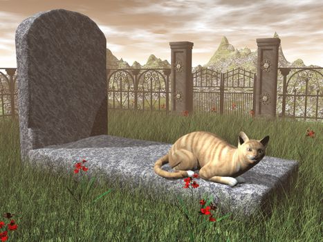 Cat on a tombstone by sunset light - 3D render
