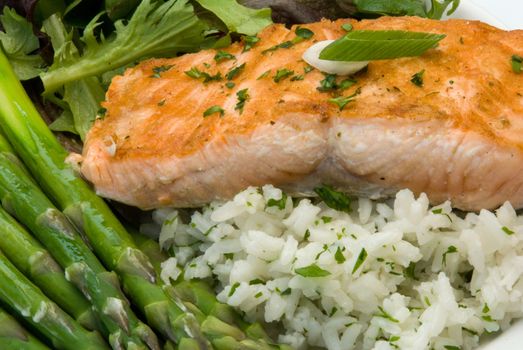 Gourmet Dinner featuring a salmon filet, rice pilaf, asparagus, and mixed greens

Shallow depth of field