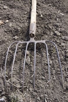 Iron livestock pitchfork on the plowed earth outdoors