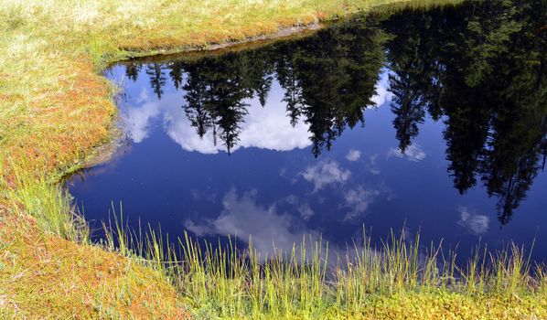 Firs reflection in the calm, blue water of a mountain lake