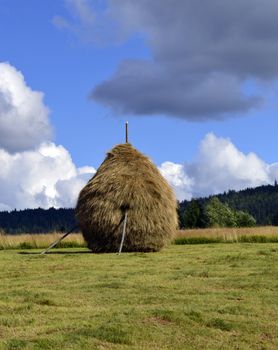 Haystack for animals feed