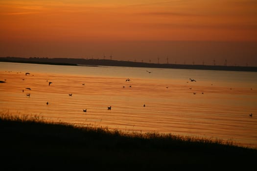Summer in Djursland - Denmark