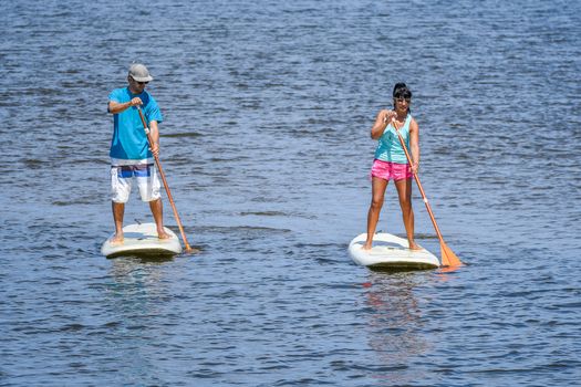 Man and woman stand up paddleboarding on lake. Young couple are doing watersport on lake. Male and female tourists are in swimwear during summer vacation.