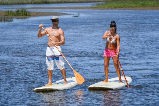 Man and woman stand up paddleboarding on lake. Young couple are doing watersport on lake. Male and female tourists are in swimwear during summer vacation.