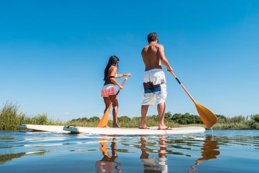 Man and woman stand up paddleboarding on lake. Young couple are doing watersport on lake. Male and female tourists are in swimwear during summer vacation.