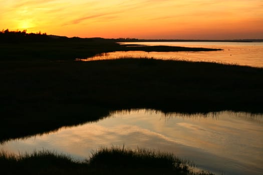Summer in Djursland - Denmark