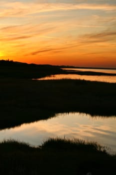 Summer in Djursland - Denmark
