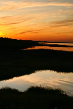 Summer in Djursland - Denmark