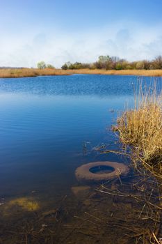 Landscape of a country lake, pollution of the environment