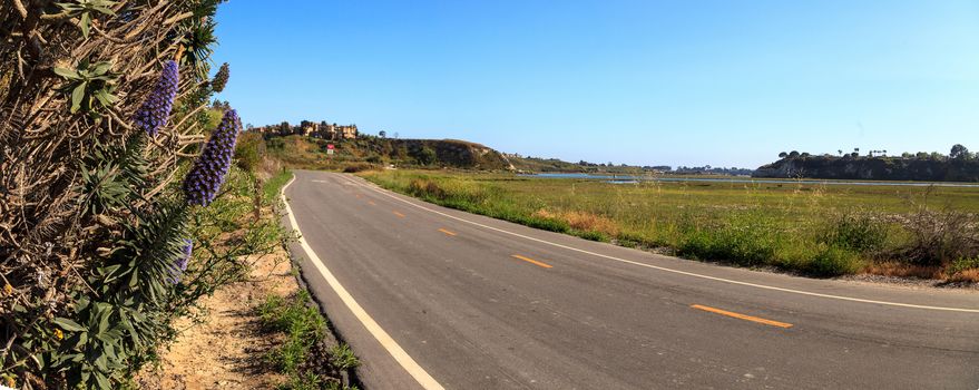 Newport Back Bay loop hiking trail winds along the marsh, where you will see wildlife in Newport Beach, California USA