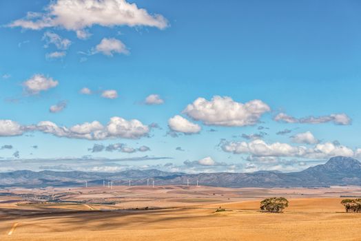 A view from the Middelplaas Road across farm landscape with a wind-farm in the distance near Caledon in the Western Cape Province of South Africa
