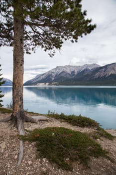 A view from the shore of Abraham Lake on a cloudy autumn afternoon.