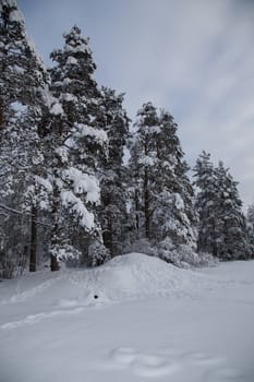 Cold russian snow winter