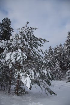 Cold russian snow winter