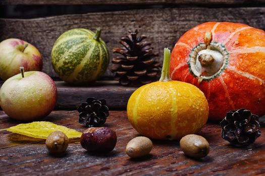 Decorative autumn mini pumpkins and autumn apples