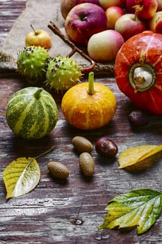 Decorative autumn mini pumpkins and autumn apples