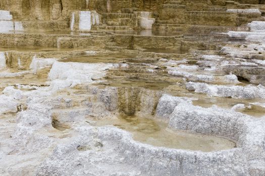 Closeup of terraces at Mammoth Hot Springs.