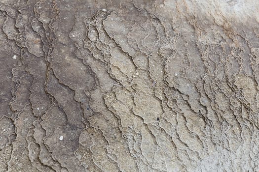 Detail of bacteria at Mammoth Hot Springs in Yellowstone National Park.