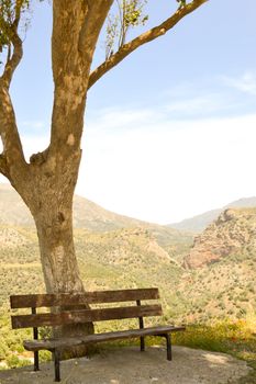 Wooden bench under a tree with a view of the mountain from the center of Crete
