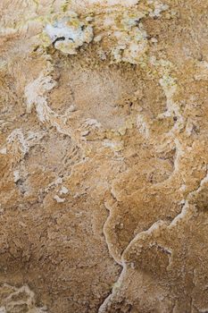 Closeup of bacteria and minerals at Mammoth Hot Springs.