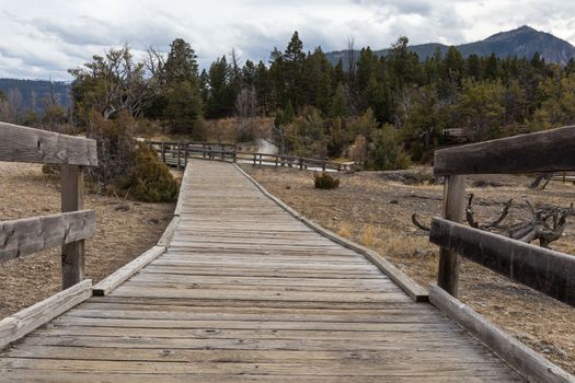 Looking down a boardwalk at Mammoth Hot Springs.