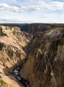 Looking out over the Grand Canyon of Yellowstone from Lookout Point.