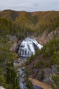 Overlooking Gibbon Falls at sunset in Yellowstone.