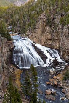 Looking out over Gibbon Falls in Yellowstone National Park.