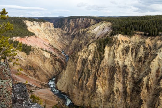 Looking out over the Grand Canyon of Yellowstone from Lookout Point.