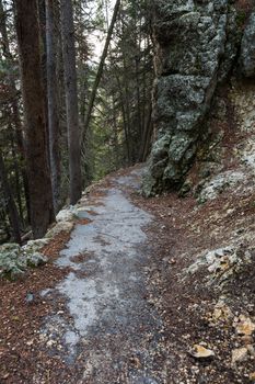 A section of the Red Rock Trail in the Grand Canyon of Yellowstone.