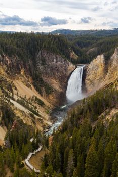 View of the Lower Falls of the Grand Canyon of Yellowstone from Lookout Point.