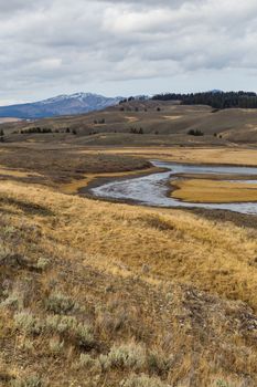 The Yellowstone River runs through the Hayden Valley.