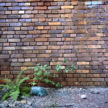 wide angle view of an old wall abandoned factory building