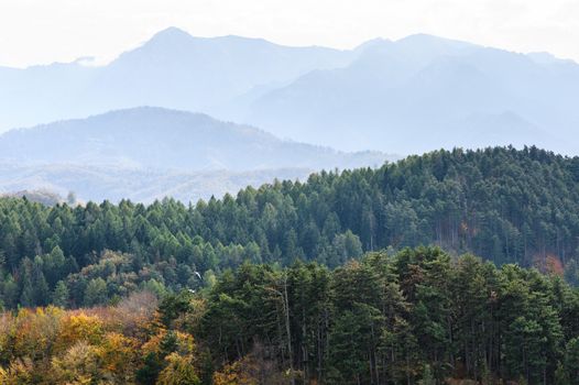 Late autumn landscape with forest and mountains