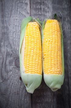 Fresh sweet corn on the wood table