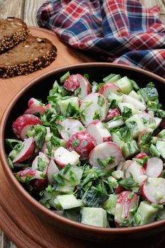Salad with pieces of radish and cucumber, herbs and green onions, dressed  yogurt. Vertically shot. 