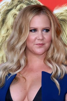 Amy Schumer at the "Snatched" World Premiere, Village Theater, Westwood, CA 05-10-17