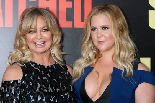 Goldie Hawn, Amy Schumer at the "Snatched" World Premiere, Village Theater, Westwood, CA 05-10-17