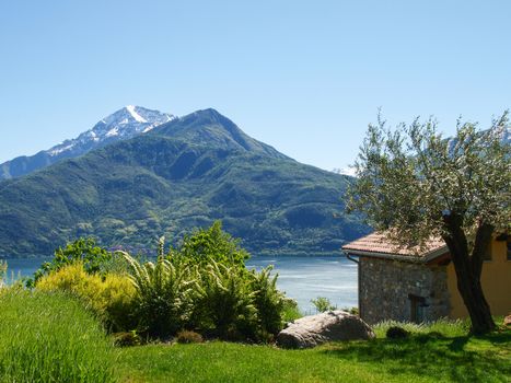 Pianello del Lario, Lake of Como, Italy: Panorama of the farm holidays Tre Terre