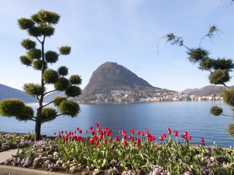 Lugano, Switzerland: Parco Ciani, city garden with fresh flowers of the current season. Intense color of flowers on a fine spring day.