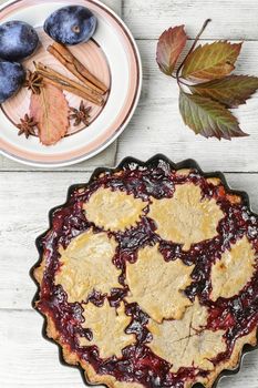 Harvest pie with autumn plums with autumn style