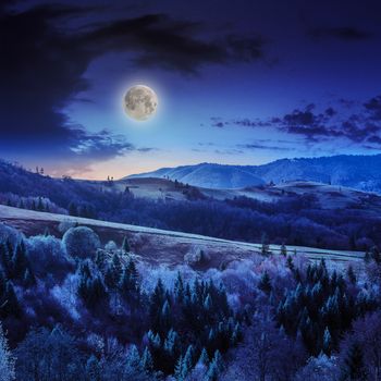  mountain steep slope with coniferous forest in moon light at midnight