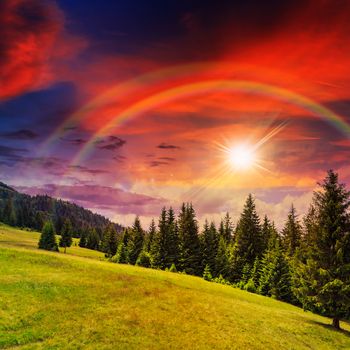 mountain steep slope with coniferous forest with rainbow in sunset