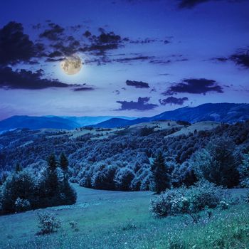  mountain steep slope with coniferous forest in moon light